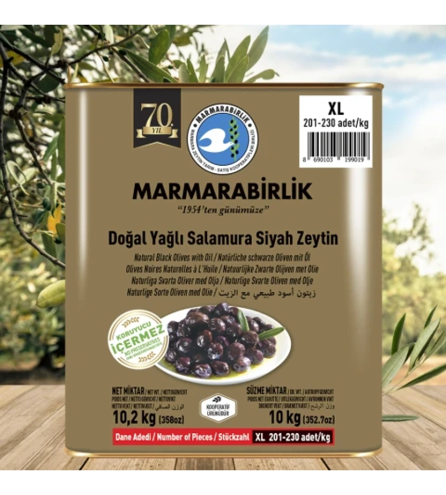 10 KG. XL - YAĞLI SALAMURA