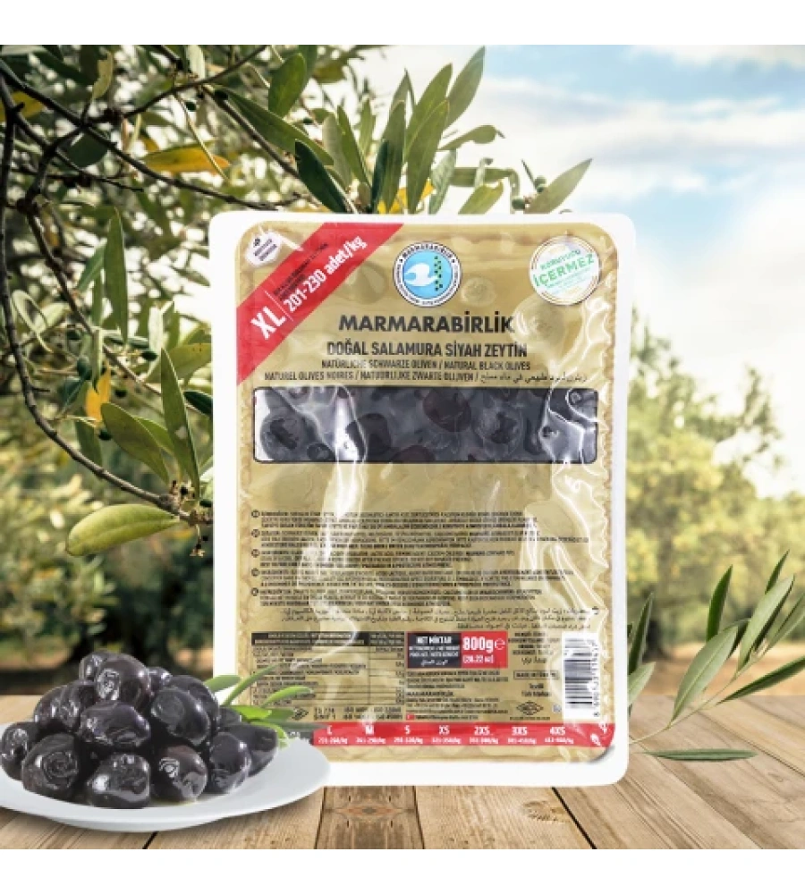 500 GR. XL - SALAMURA VAKUM